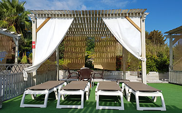 maui vip premium